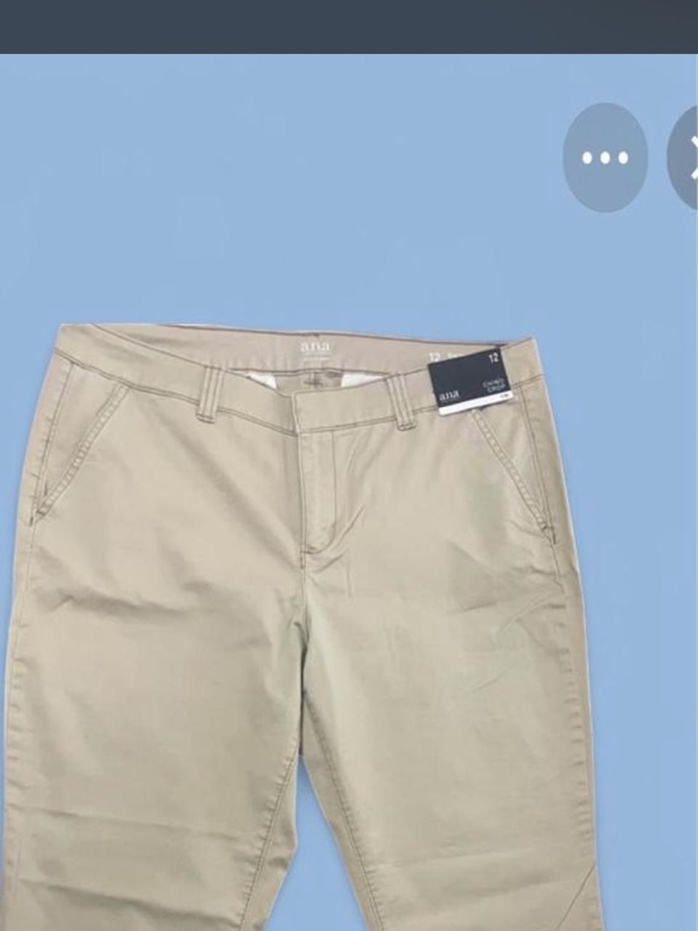 ANA Beige Casual Chino Pants